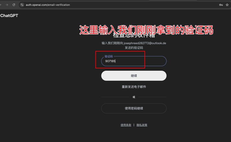 输入验证码