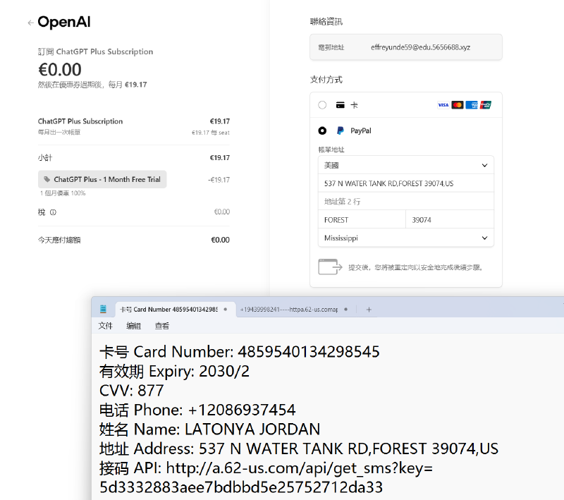 ChatGPT Plus 试用支付页选择 PayPal 示例