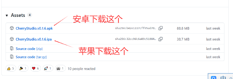 Cherry Studio 下载安装到对应系统版本