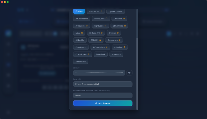 选择 Custom 并填写 API Key