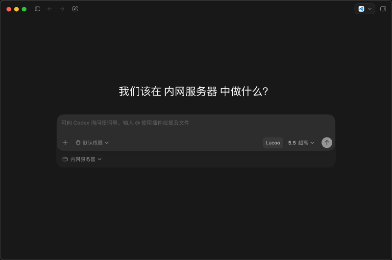启动 Codex 客户端
