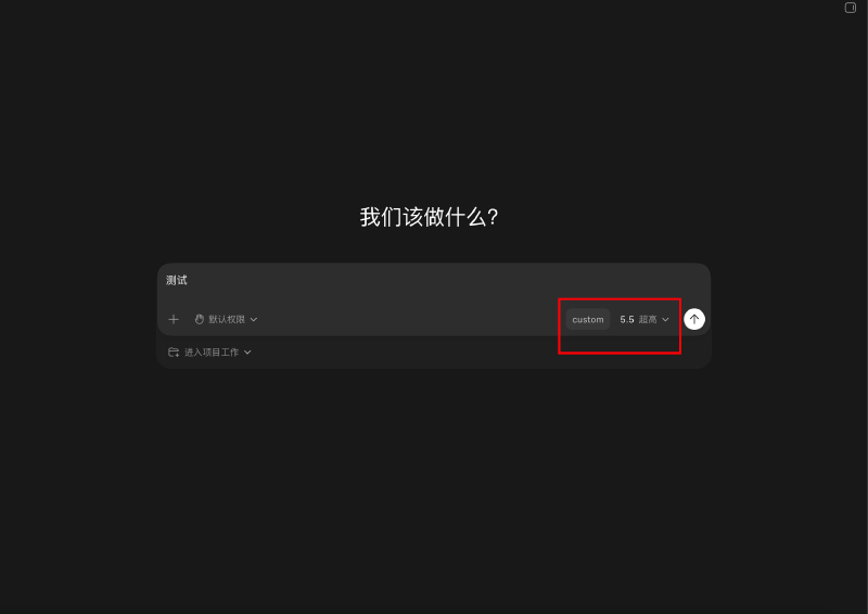 确认 Codex 已切换到自定义模型