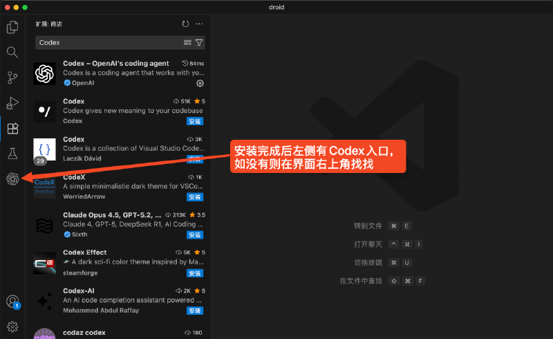 Codex 插件详情页