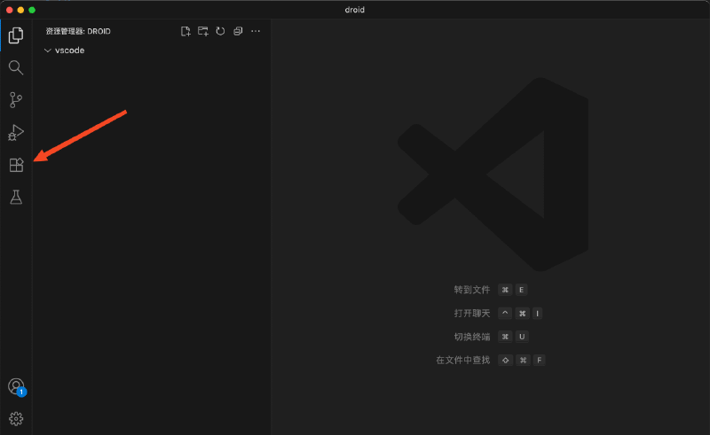 打开 VS Code 扩展面板