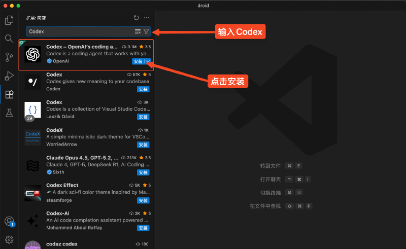 搜索 Codex 插件