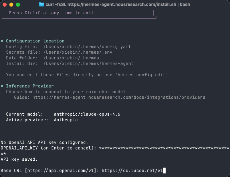填写 Lucoo 中转站 API Key