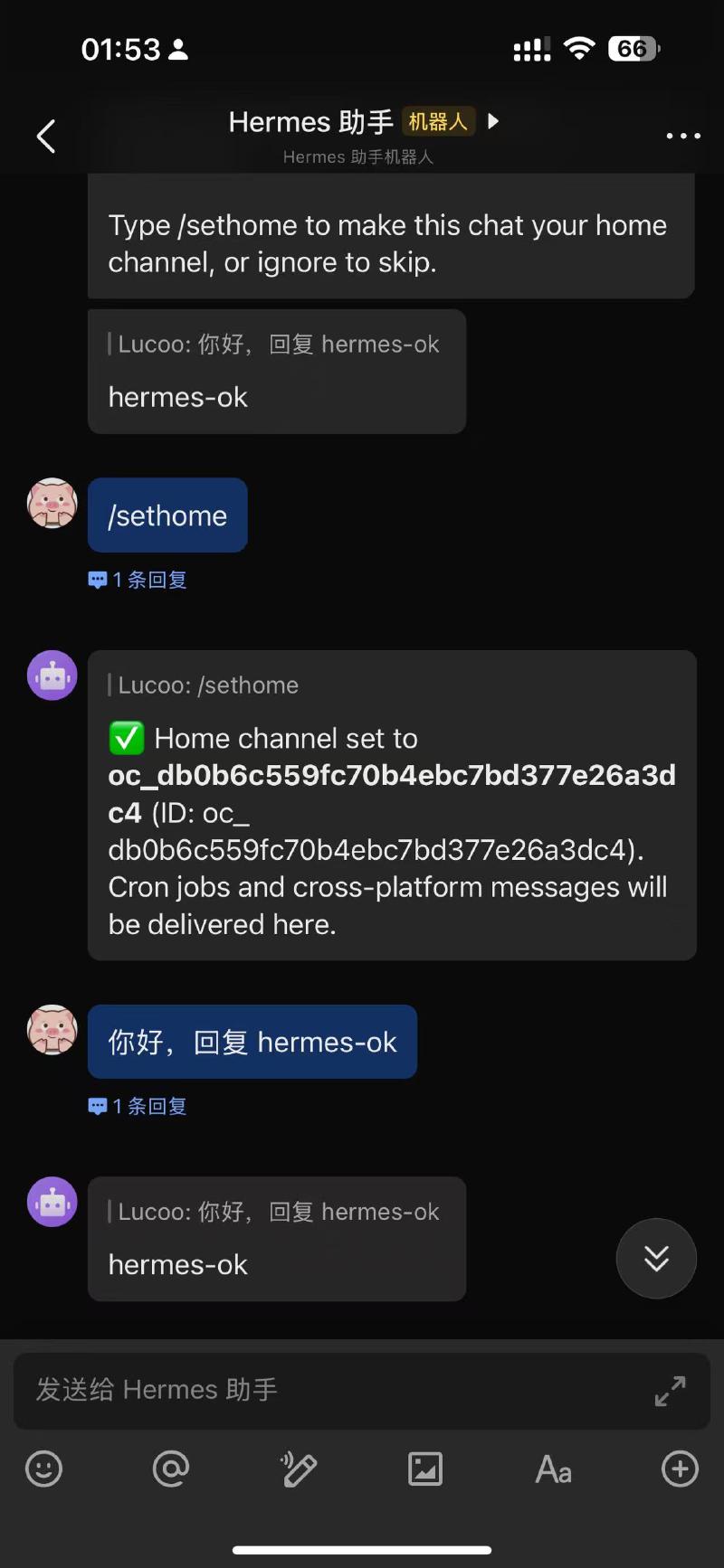 飞书设置 Home channel 成功
